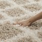 Safavieh Dallas Shag SGD258D-10 10" x 14" Beige/Ivory Area Rug, , large