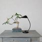 Teak Interiors Secret Garden Metal Table Lamp in Black, , large