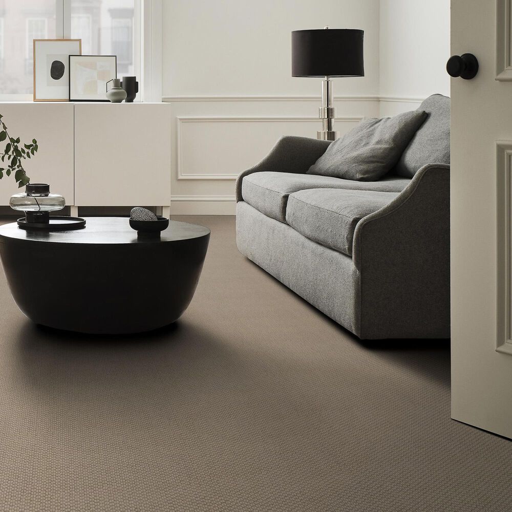 Anderson Tuftex Cathedral Grove Carpet in Smoky Pearl, , large