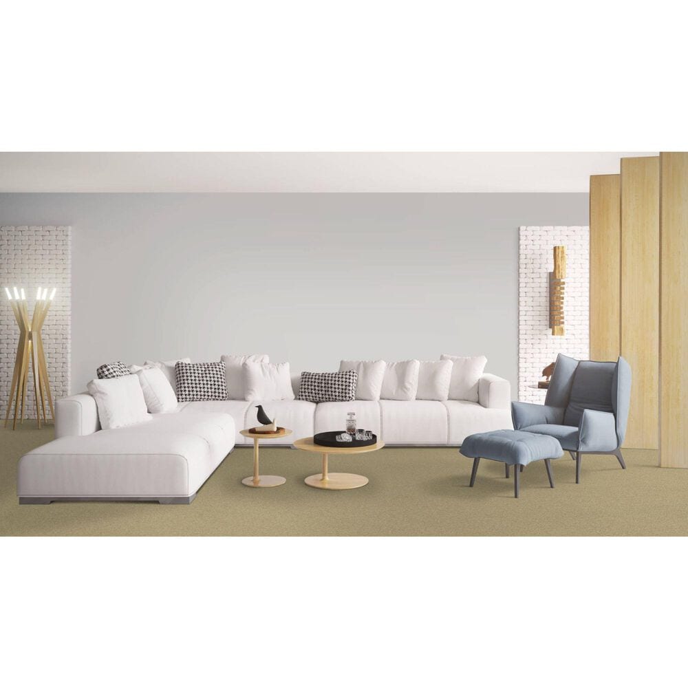 Dixie Home Simplicity Carpet in Driftwood, , large