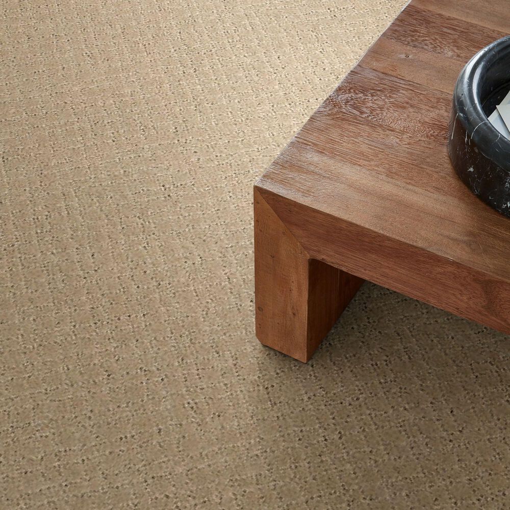 Anderson Tuftex Mosaic Carpet in Oak Ridge, , large