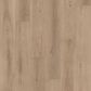 Shaw Floorte Ponder 7" x 48" Luxury Vinyl Plank, , large