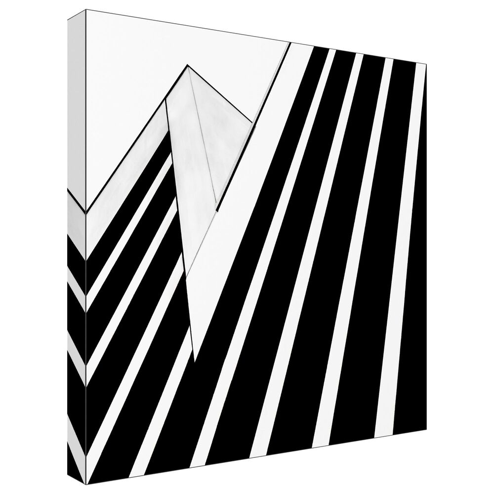 Timberlake Opposition 18&quot; x 18&quot; Canvas Art in Black/White, , large