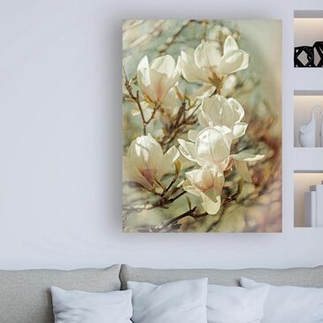 Timberlake Brooke T. Ryan "Vintage Inspired Magnolias" Medium 24 x 18 Canvas Art, , large