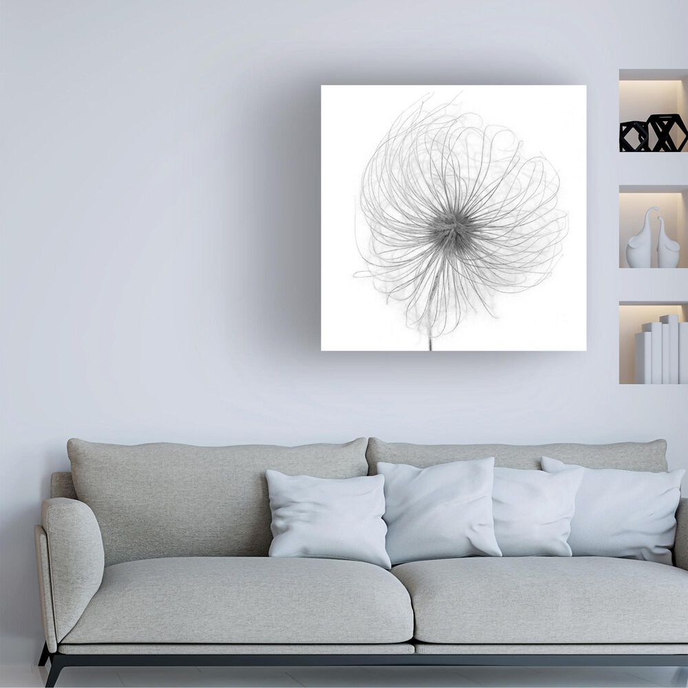 Timberlake Lotte Gronkjar 'Fluffy Seed Head Whisp' 35" x 35" Canvas Art, , large
