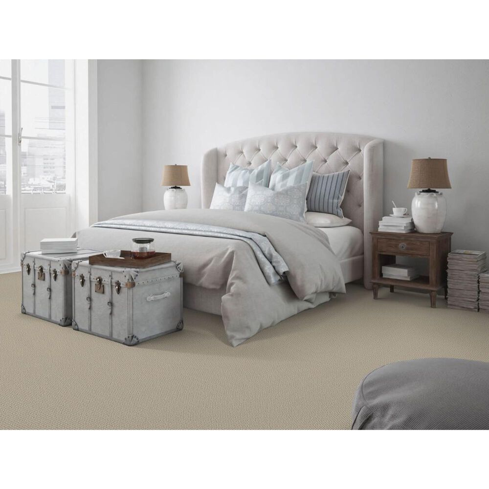 Dixie Home Pleasant Valley Carpet in Ash, , large
