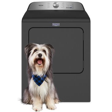 Maytag Pet Pro 7.0 Cu. Ft. Gas Dryer in Volcano Black, , large