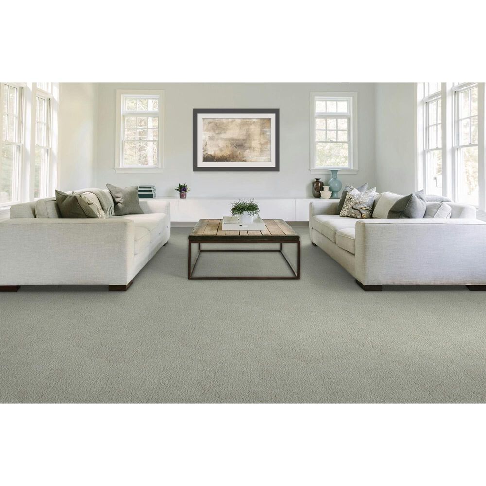 Mohawk Gentle Guardian lV Carpet in Reflections, , large