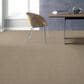 Shaw Elemental Mix I Carpet in Twine, , large
