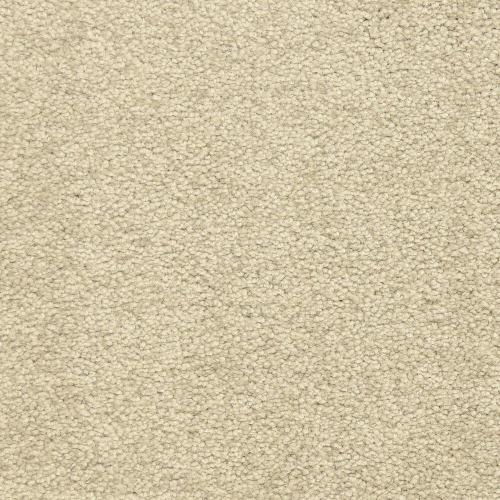 Dixie Home Debut Carpet in Summer House, , large