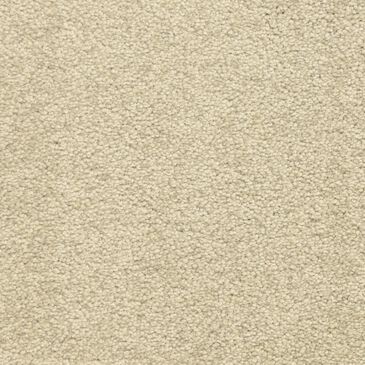 Dixie Home Debut Carpet in Summer House, , large