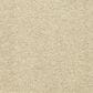Dixie Home Debut Carpet in Summer House, , large