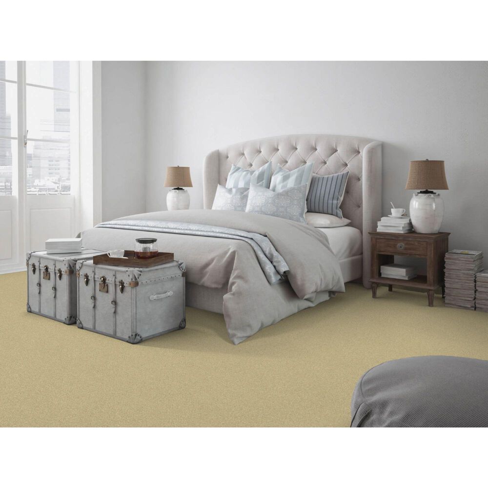 Dixie Home Simplicity Carpet in Touch Of Grey, , large