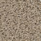 Shaw Abilene I Carpet in Sand Castle, , large