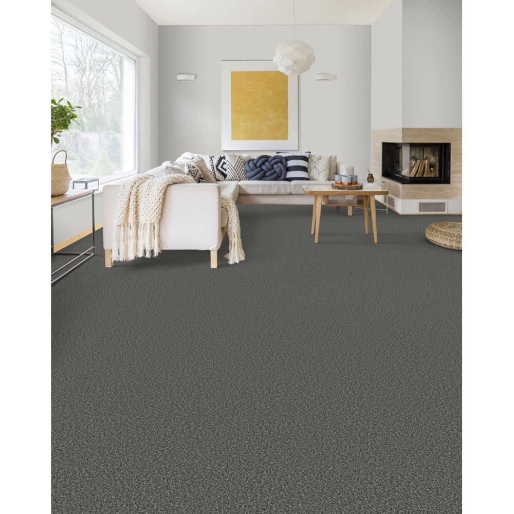 Dixie Home Outlast Carpet in Onyx, , large