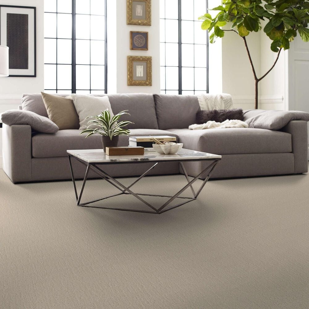 Shaw Endless Memories Carpet in Happy Place, , large