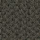 Shaw Austin Park Carpet in Cedar Glen, , large