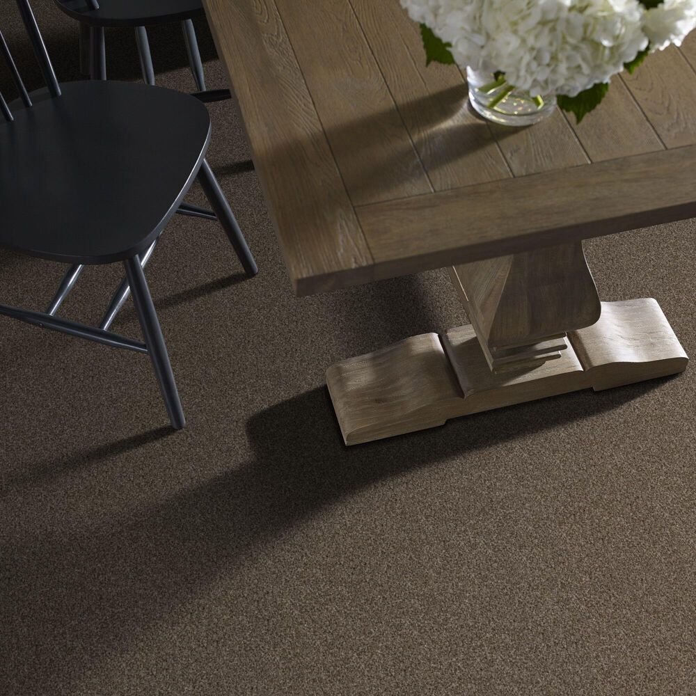 Shaw Yes You Can I Carpet in Mission Ridge, , large