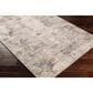 Surya Cardiff CDF-2304 Medium Gray, Light Blue, Mustard and Dark Blue 5" x 7"5" Area Rug, , large