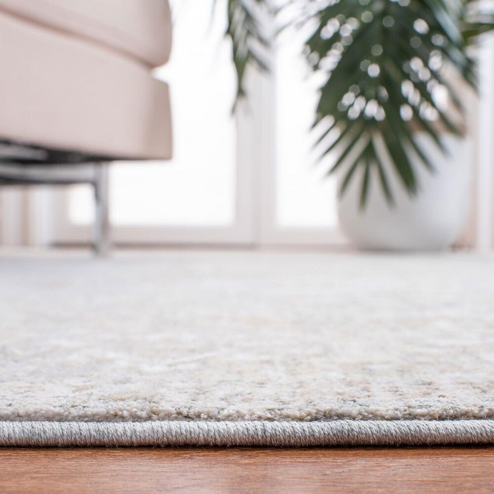 Safavieh Webster WBS322G 4&#39; x 6&#39; Grey and Beige Area Rug, , large