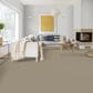 Dixie Home Main Force Carpet in Pebble, , large