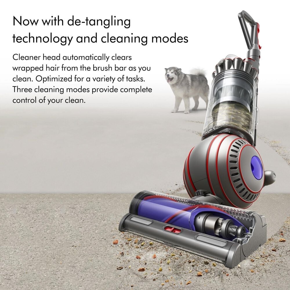 Dyson Ball Animal 3 Upright Vacuum In Nickel/Silver, , large
