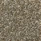 Shaw Simply the Best Attainable Carpet in Fox Hollow, , large