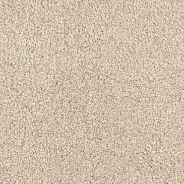 Dixie Home Big Splash Carpet in Starfish, , large