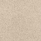 Dixie Home Big Splash Carpet in Starfish, , large
