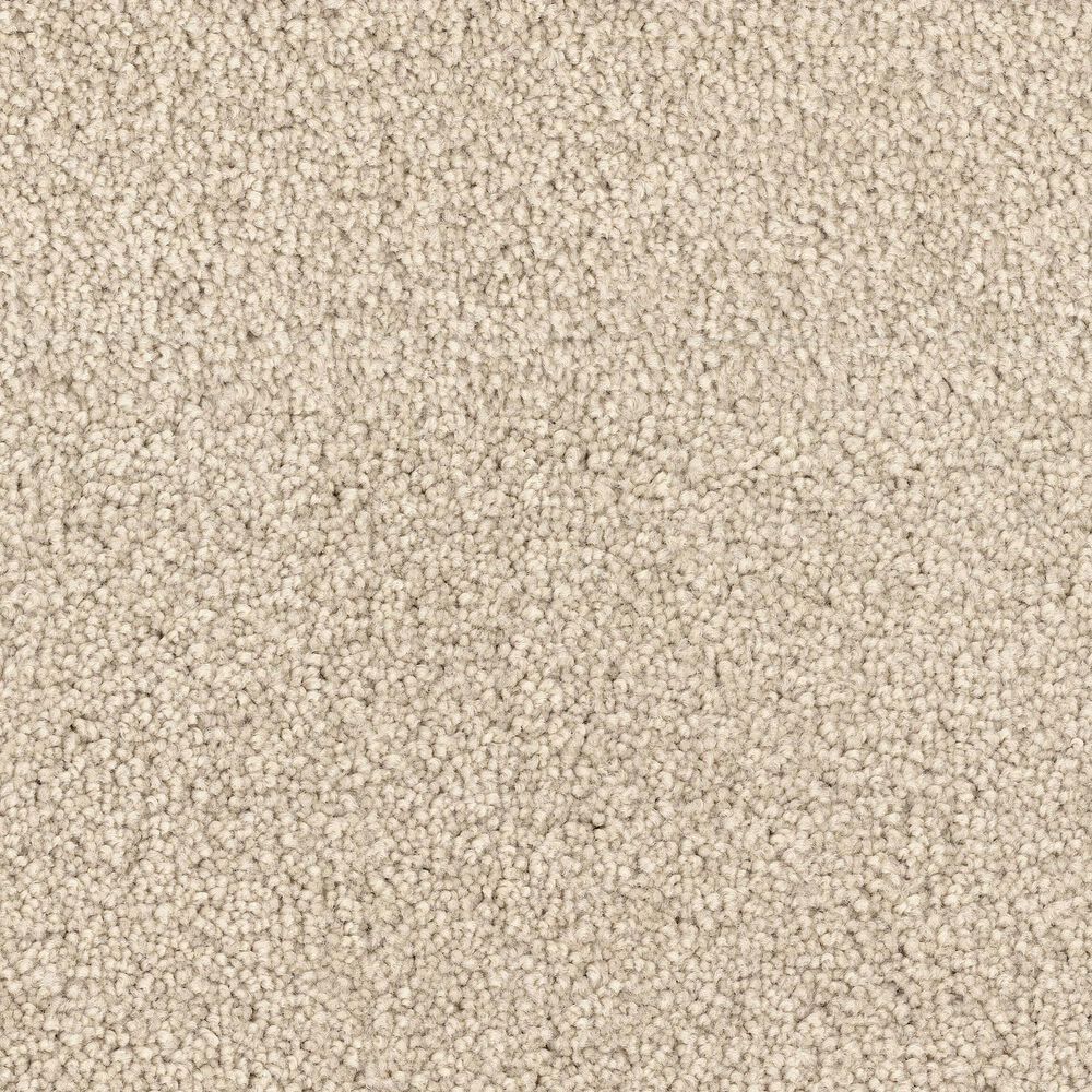 Dixie Home Big Splash Carpet in Starfish, , large