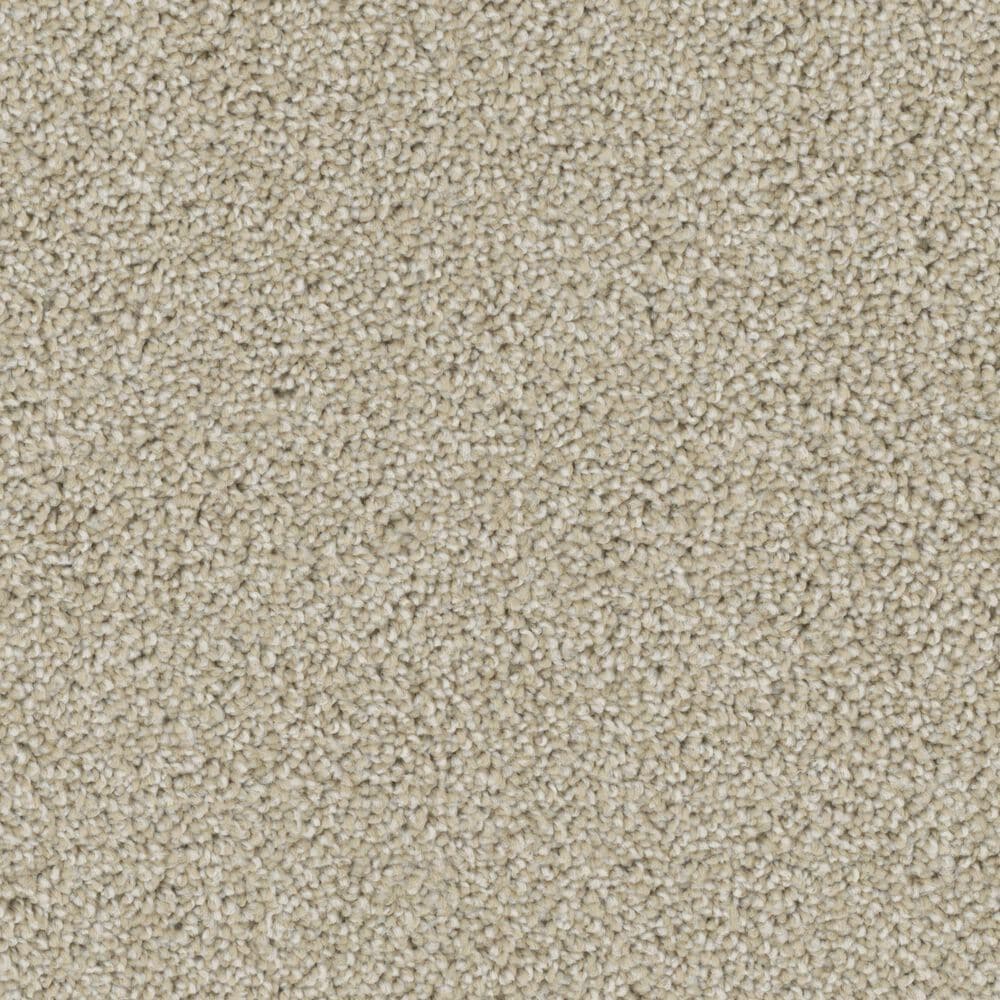 Phenix Balboa Carpet in Day Tour, , large