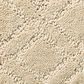 Anderson Tuftex Renoir Carpet in Bungalow, , large
