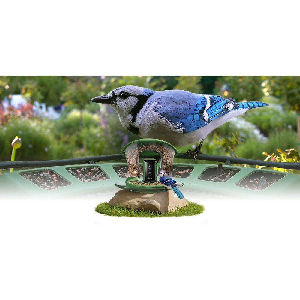 Birdfy Bird Feeder 2 with Smart Camera and Solar Panel in Green, , large
