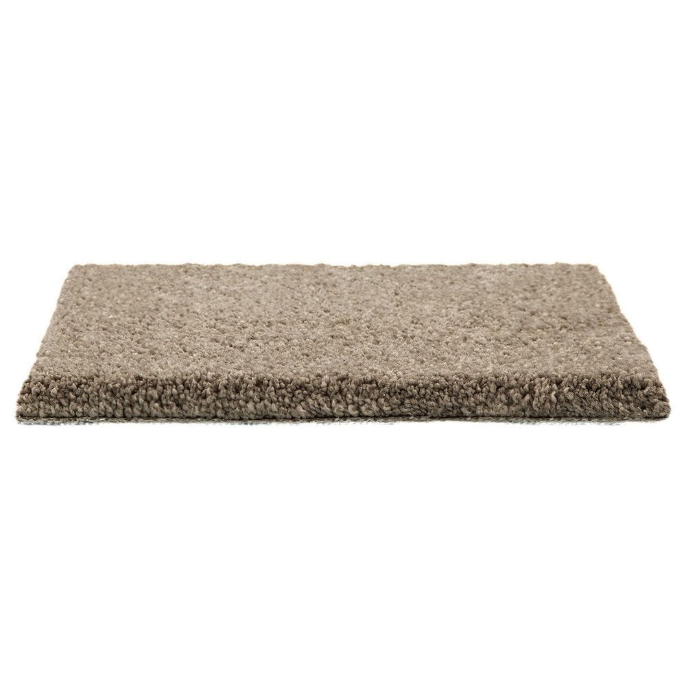 Mohawk Pleasant Touch Carpet in Woodland, , large