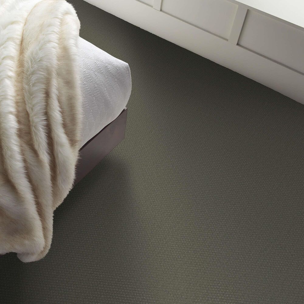 Shaw Austin Park Carpet in Cedar Glen, , large