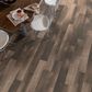 Shaw Symbiotic 12 Sorrel 6" x 48" Luxury Vinyl Tile, , large