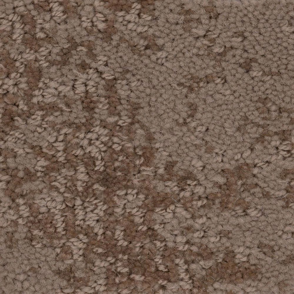 Anderson Tuftex Caress  Artistic Presence Carpet in Raw Wood, , large