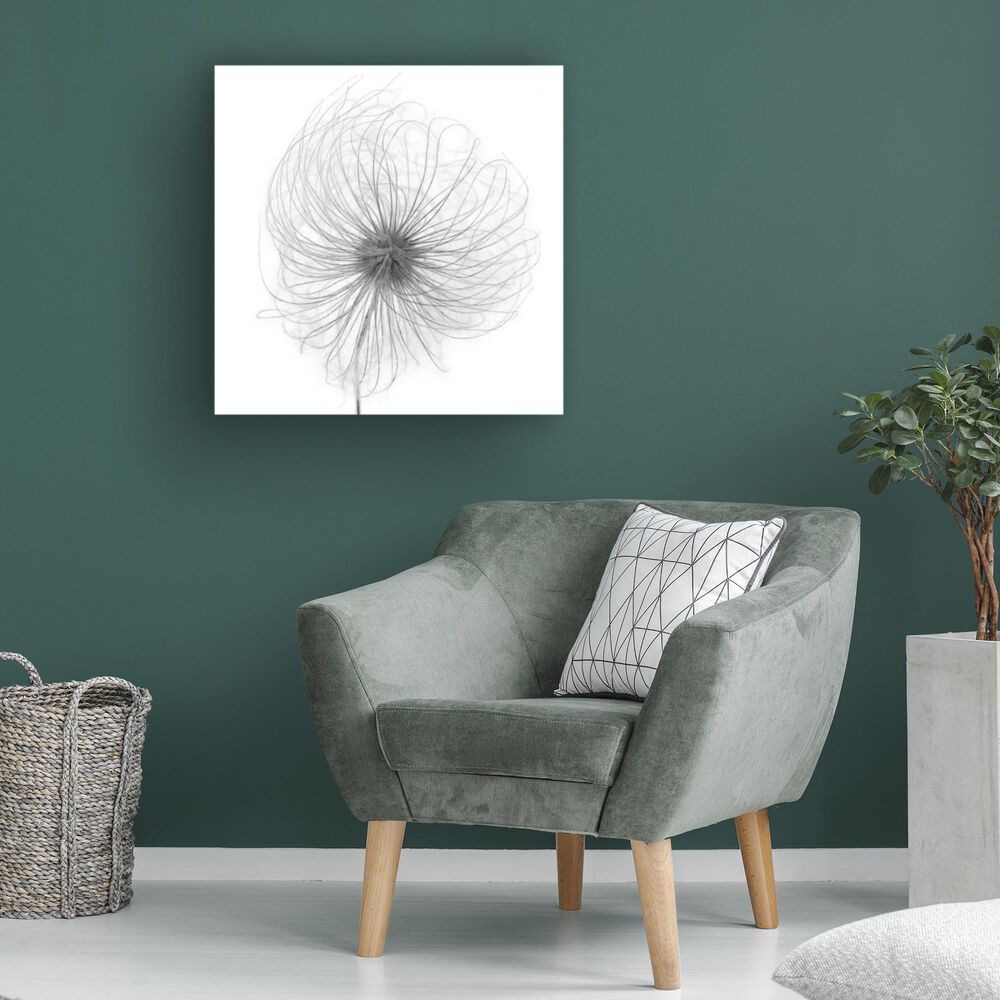 Timberlake Lotte Gronkjar &#39;Fluffy Seed Head Whisp&#39; 24&quot; x 24&quot; Canvas Art, , large
