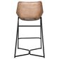 Home Trends & Design Essex Stanley Counter Stool in Top Grain Leather, , large