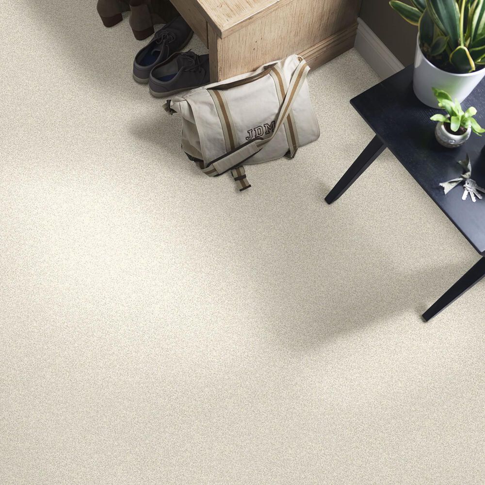 Shaw Foundations Take The Floor Twist II Carpet in Modest, , large