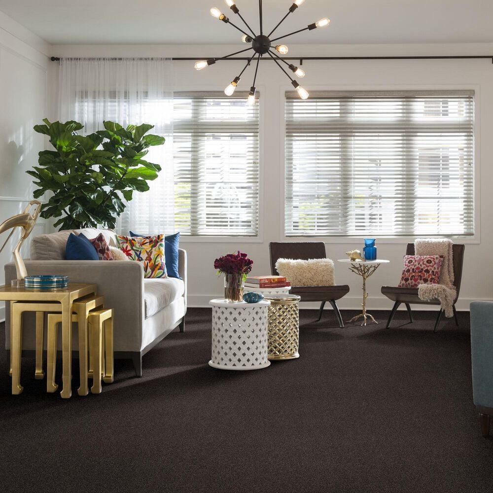 Anderson Tuftex Caress  Cozy Harbor II Carpet in Burma Brown, , large