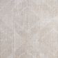 Jaipur Cirque CIQ49 Gray 5"3" x 7"6" Area Rug, , large