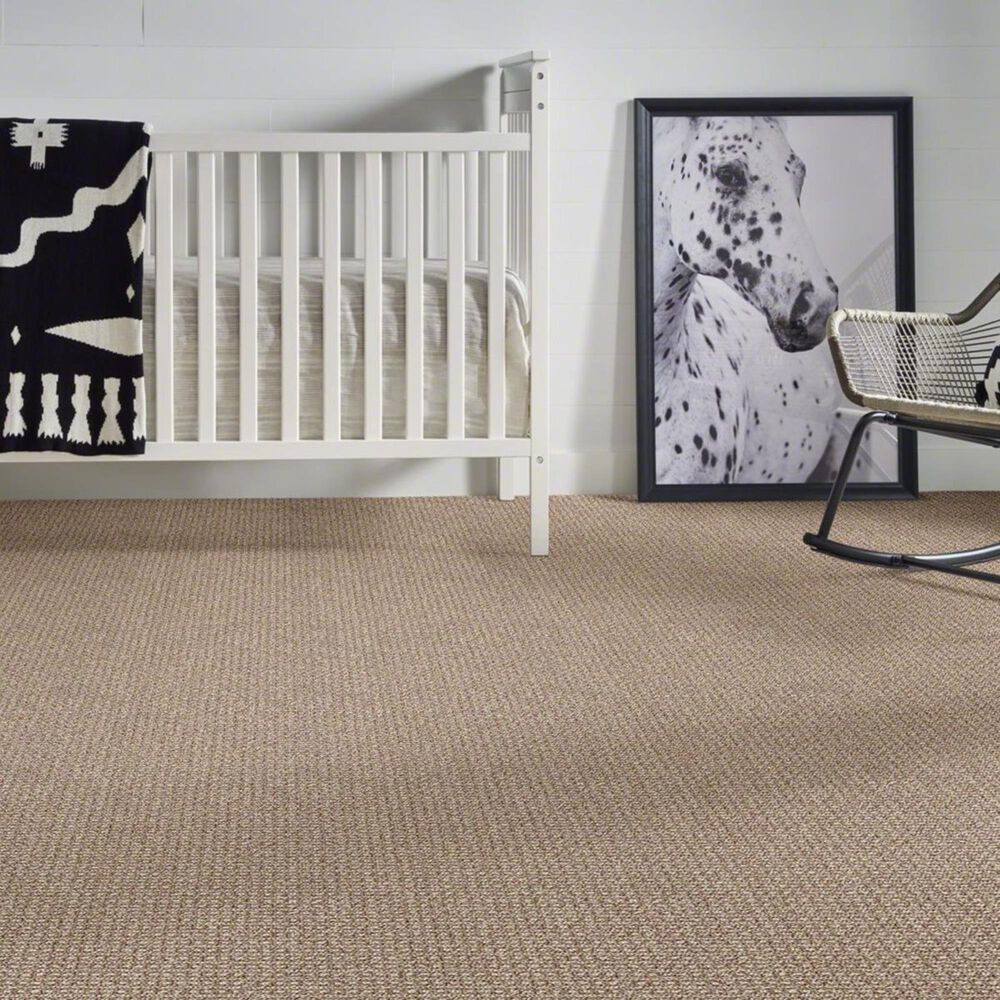 Anderson Tuftex Fetch Carpet in Russet, , large