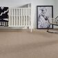 Anderson Tuftex Fetch Carpet in Russet, , large