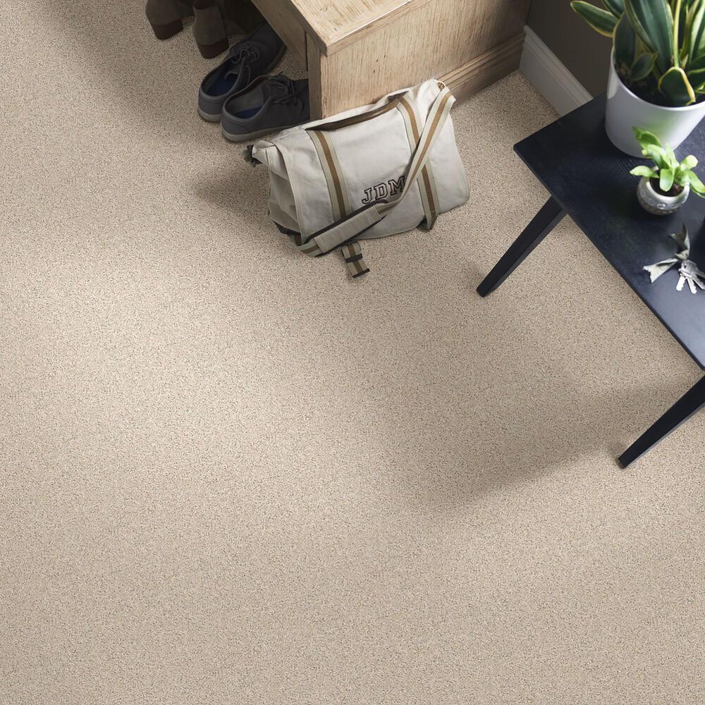 Anderson Tuftex Del Morro Carpet in Chic Cream, , large