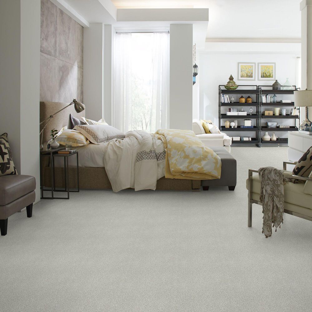 Shaw Find Your Comfort TT II Carpet in Chill in The Air, , large