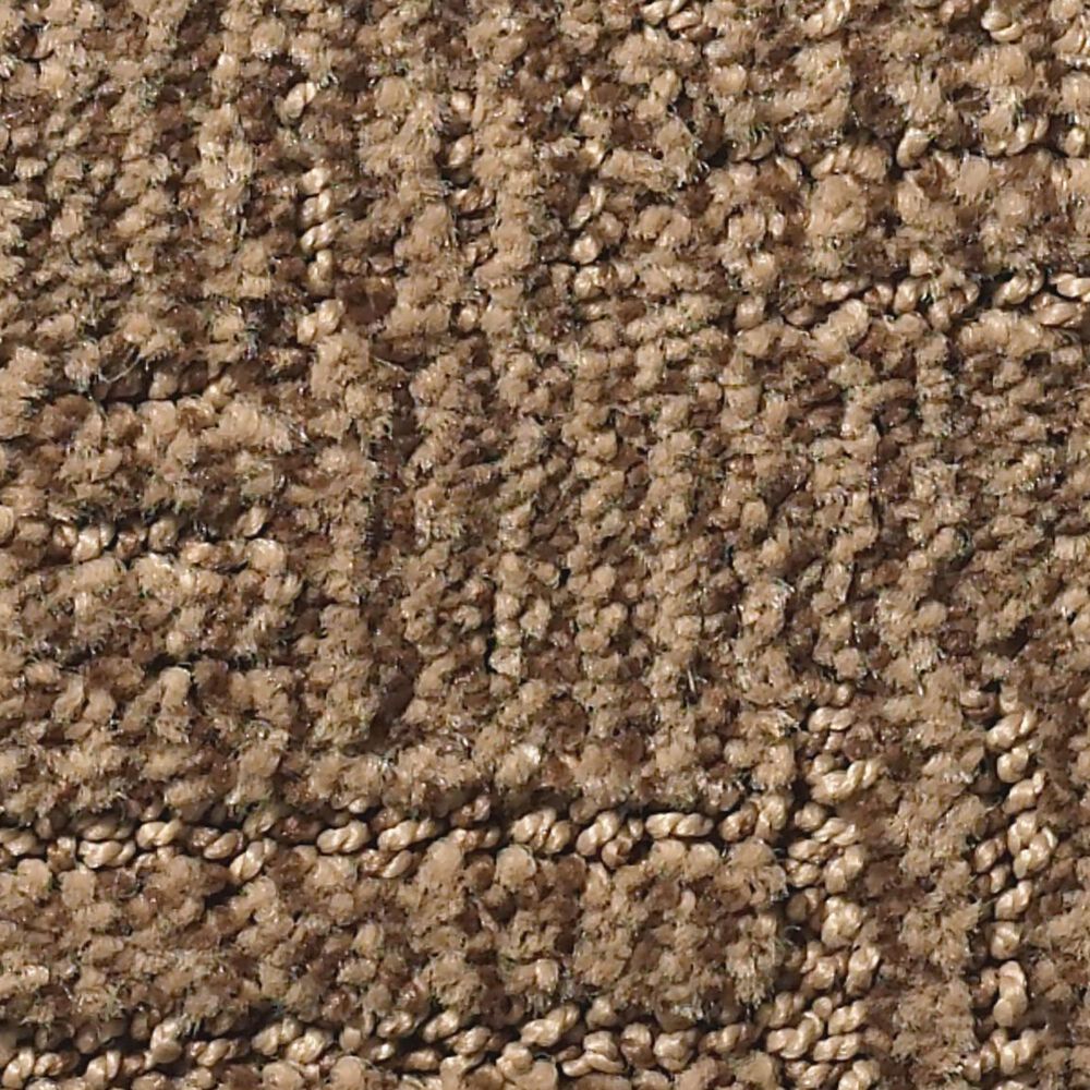Anderson Tuftex Loredo Carpet in Desert Beach, , large