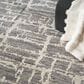 Nourison Luna 7"9" x 9"9" Grey and Silver Area Rug, , large
