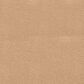 Dixie Home Neverland Carpet in Maple Valley, , large