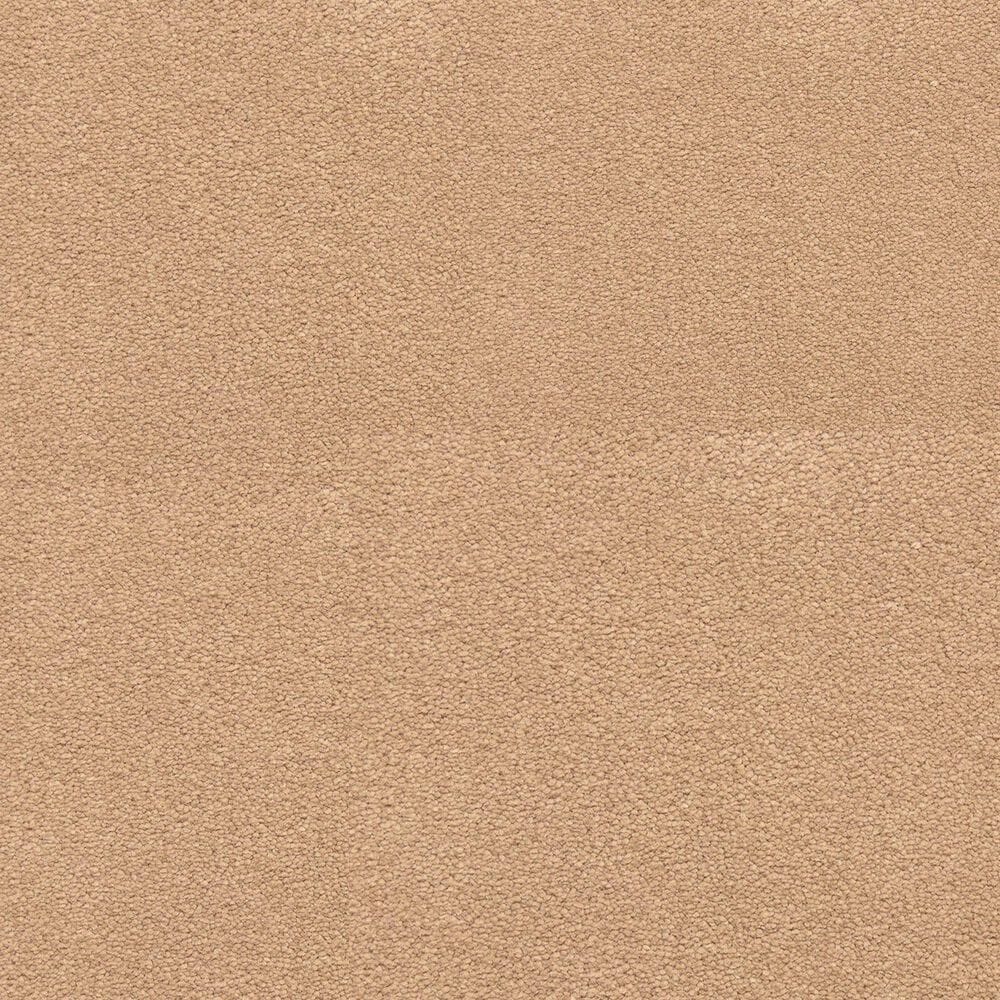 Dixie Home Neverland Carpet in Maple Valley, , large